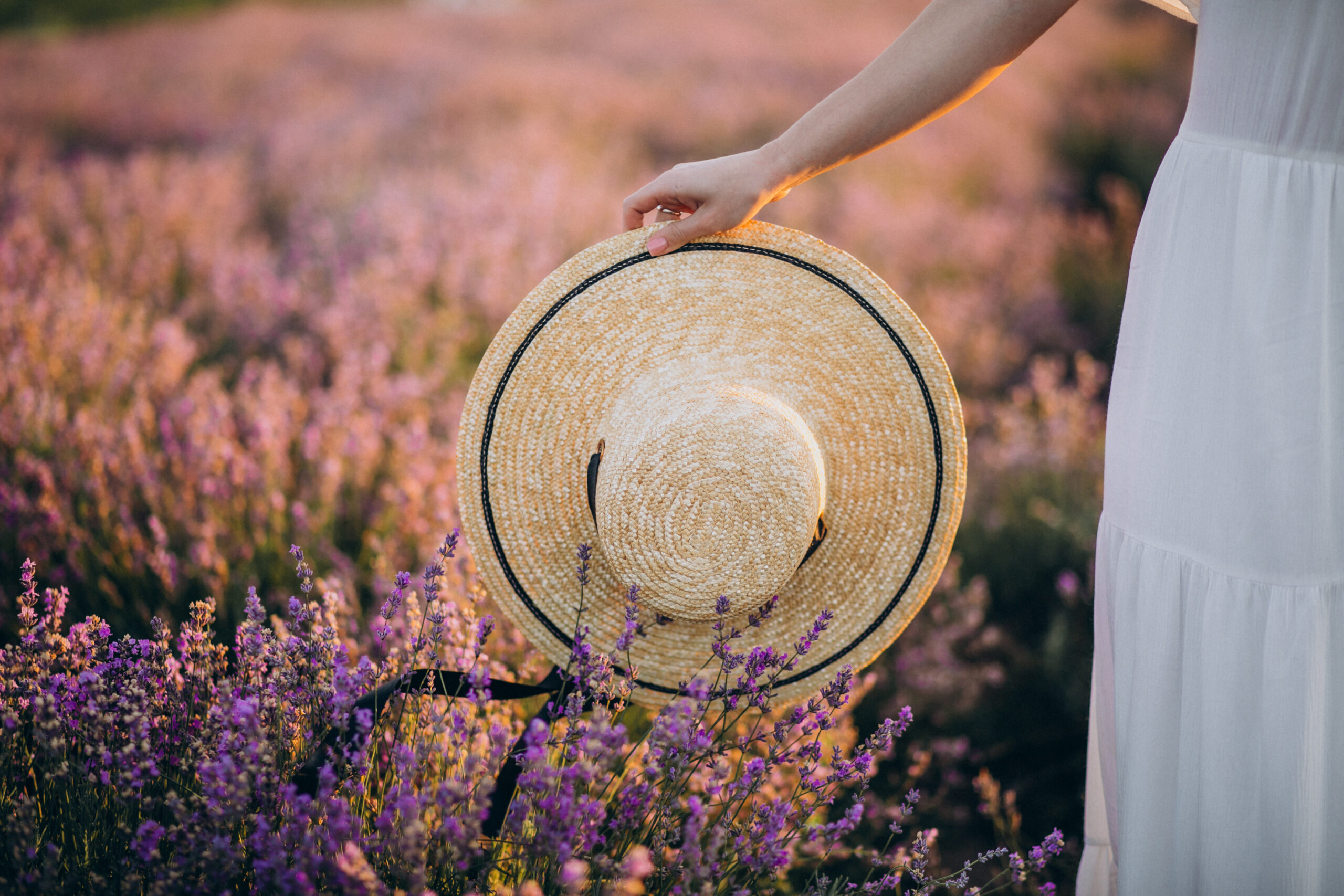 Salon de Provence