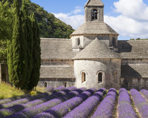 Abbey of Senanque and lavender field. France.
