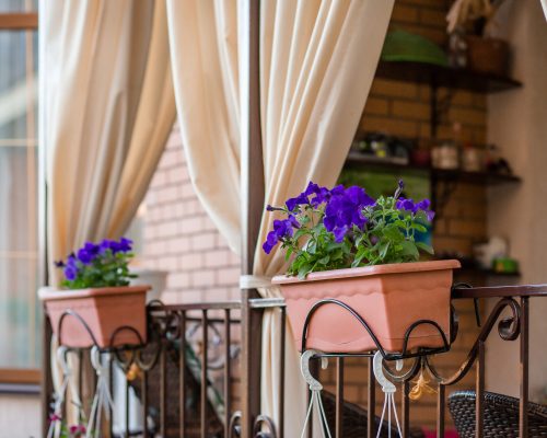Flowers in hanging pots on the porch of the house. Comfort and beauty near the house.