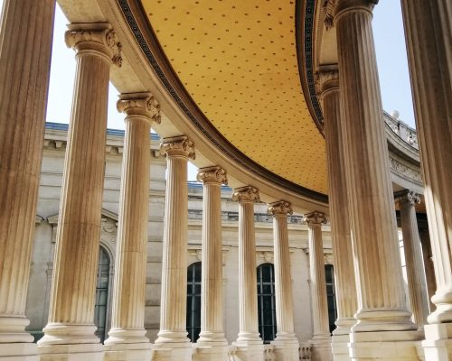 The roof and columns of the Natural History Museum of Marseille under the sunlight in France